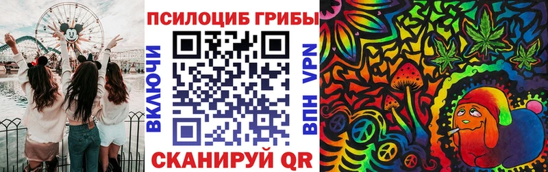 как найти наркотики Карачев Псилоцибиновые грибы MAGIC MUSHROOMS